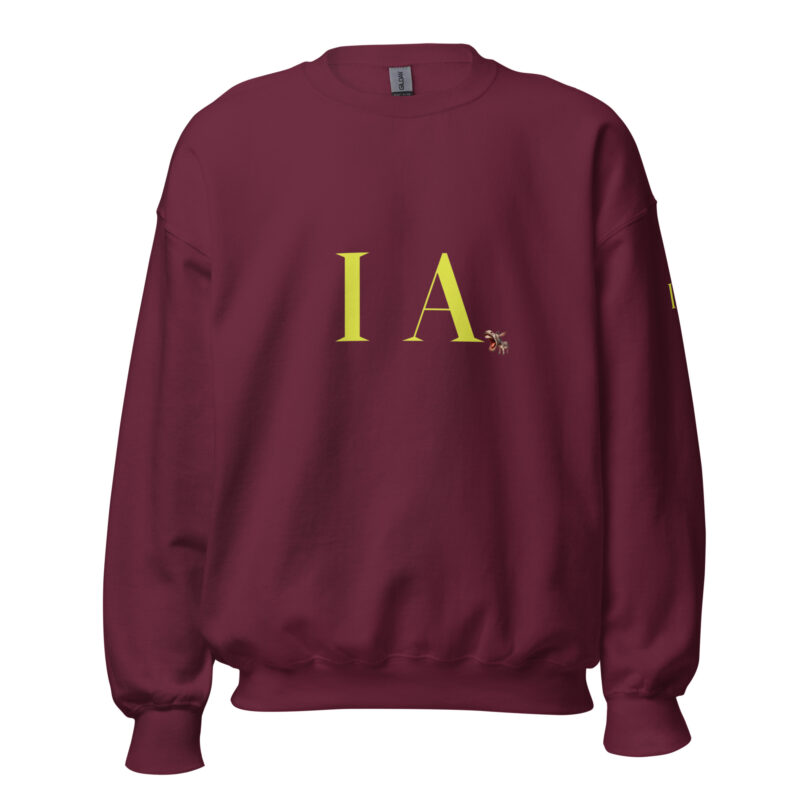 Sudadera: “El origen real de la IA” - Imagen 10